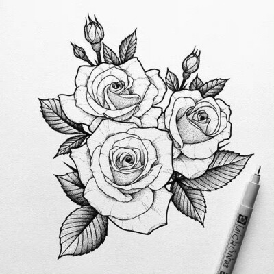 植物绘，插画师：Black and White