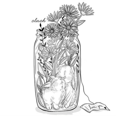 植物绘，插画师：Black and White