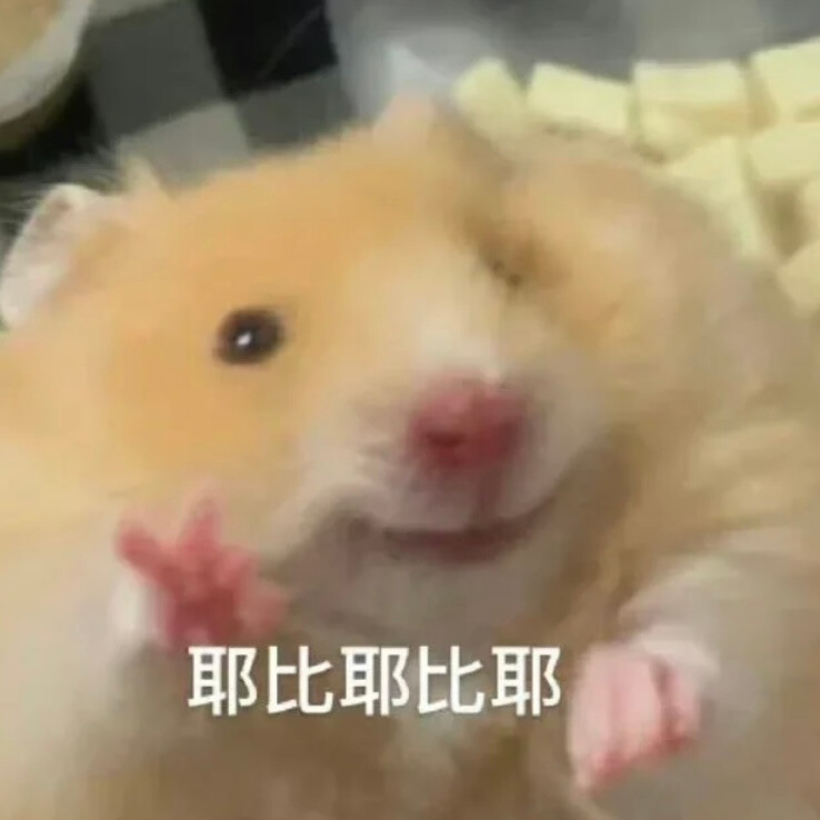 鼠鼠