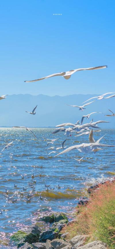 一组海边壁纸