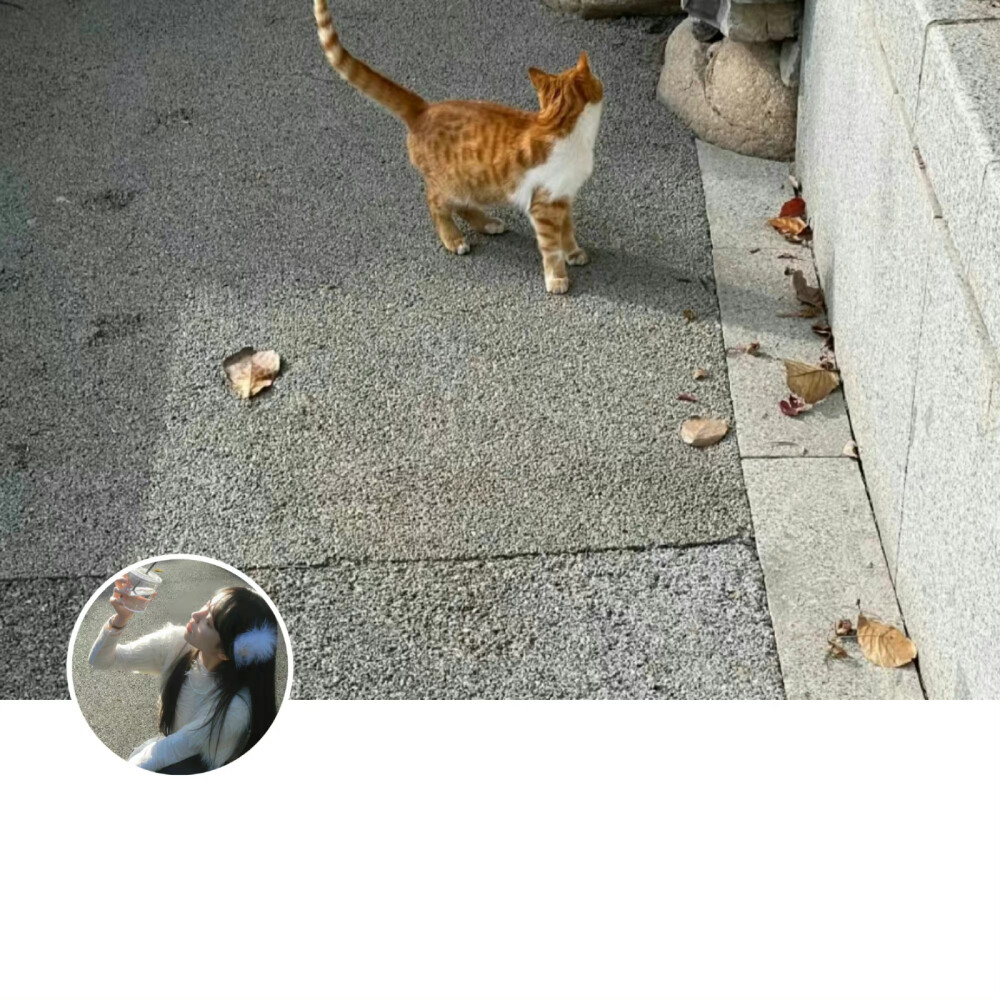 @春山青野: “我对自己说，跨过去，春天不远了，永远不要失去发芽的心情。” —林清玄