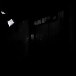 You who came from the stars