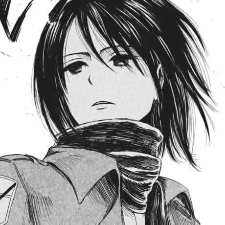 mikasa