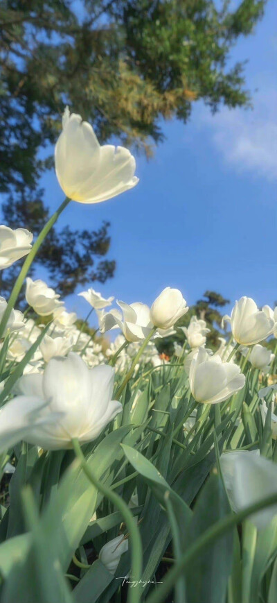 春暖花开时