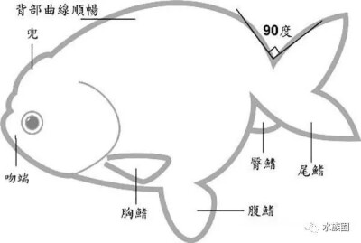 兰寿入坑2023.2.26