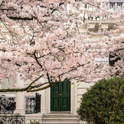朋友圈背景