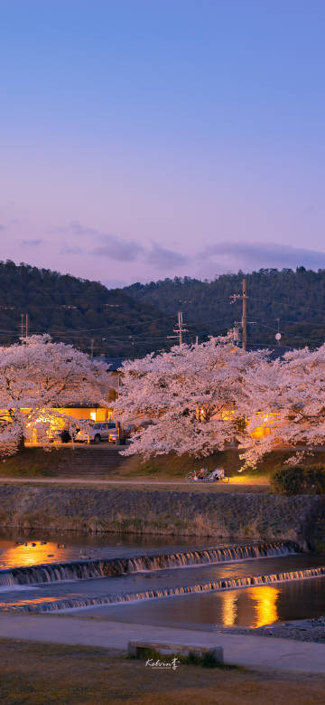 日系壁紙
原創(chuàng)：kelvin李