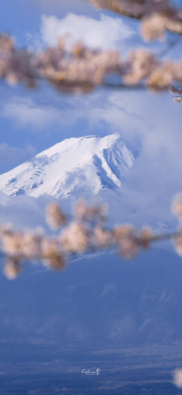 日系壁紙
原創(chuàng)：kelvin李