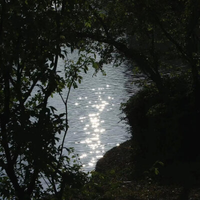 波光粼粼 ​​​
from 春山青野