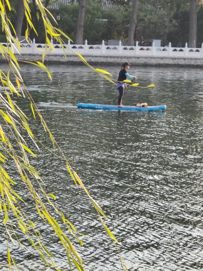 時光和歲月一同零碎地流逝，
人不過是一個行走的影子。 