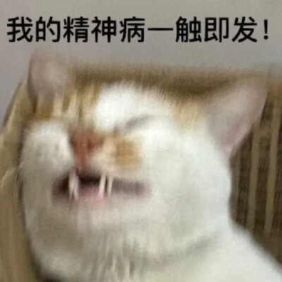 傻