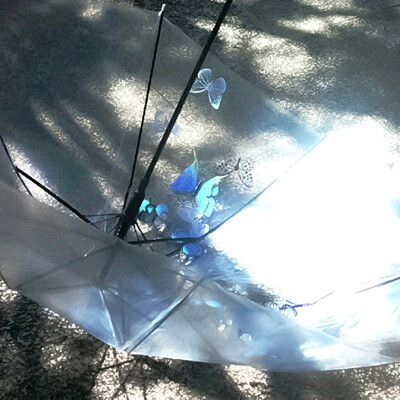 狐狸的夏天（キツネの夏）