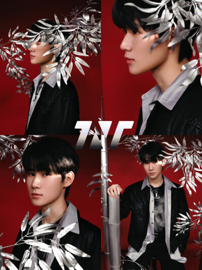 喜欢张哥的我们就是朋友