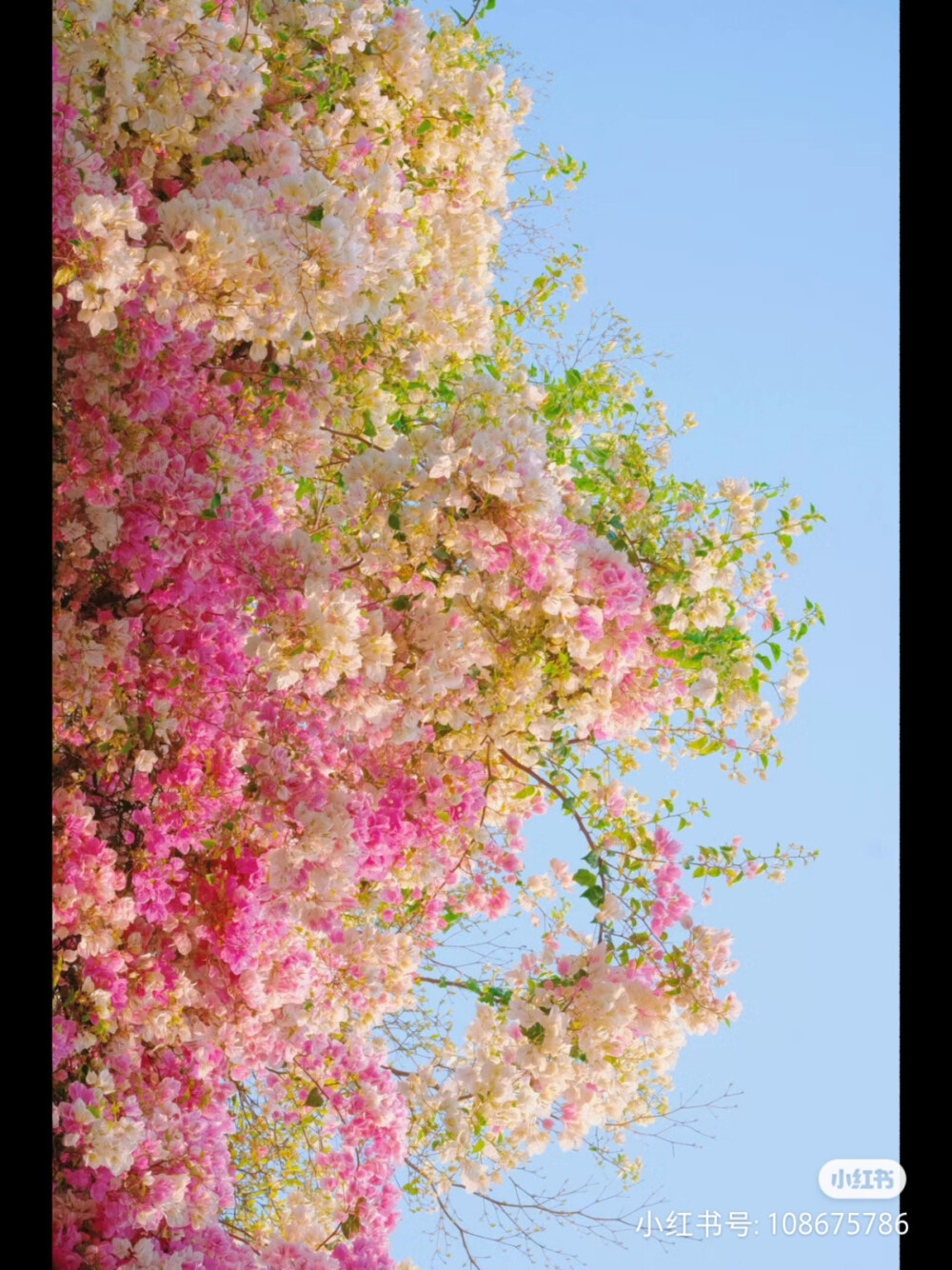 色彩