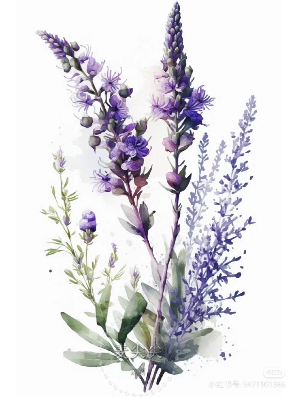 水彩花草