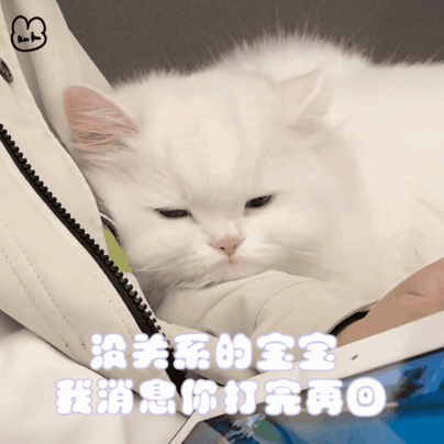 猫猫表情