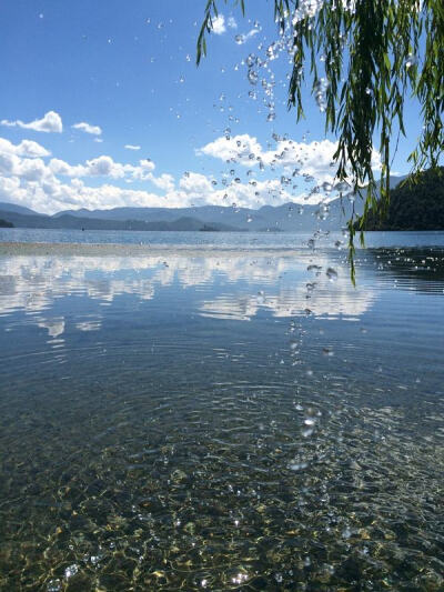 时间一晃，春意已盛，抬头便能看见头上叶，枝上花，一天繁盛一天地漫卷而来。一朵朵新花，一片片新芽，像一个个精灵，召唤着每一个人，快快融入春天。