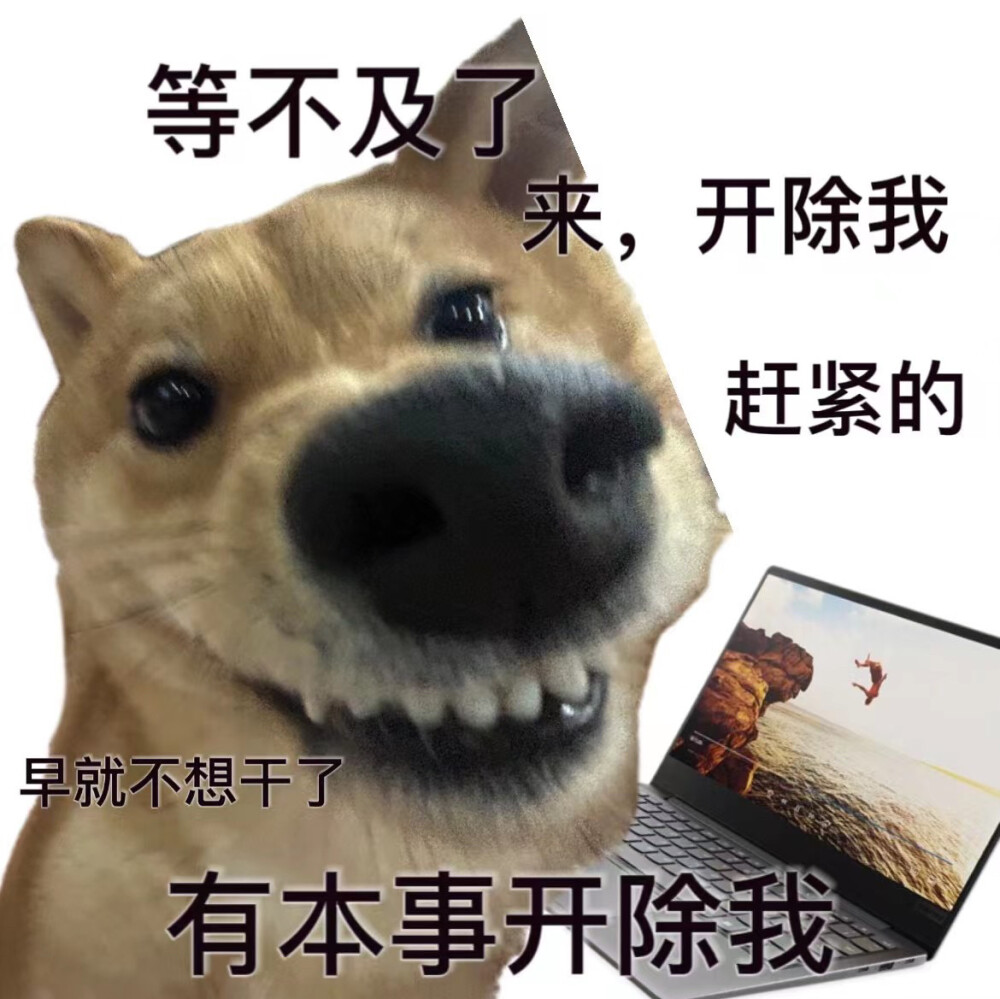 傻