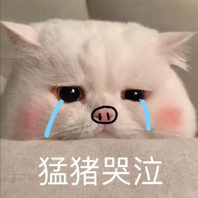 搞怪沙雕表情包