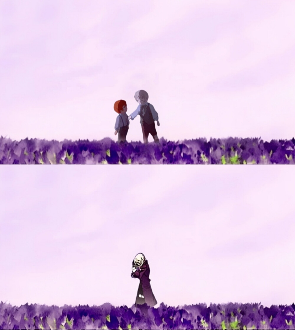 【图片】阿洛伊斯托兰西