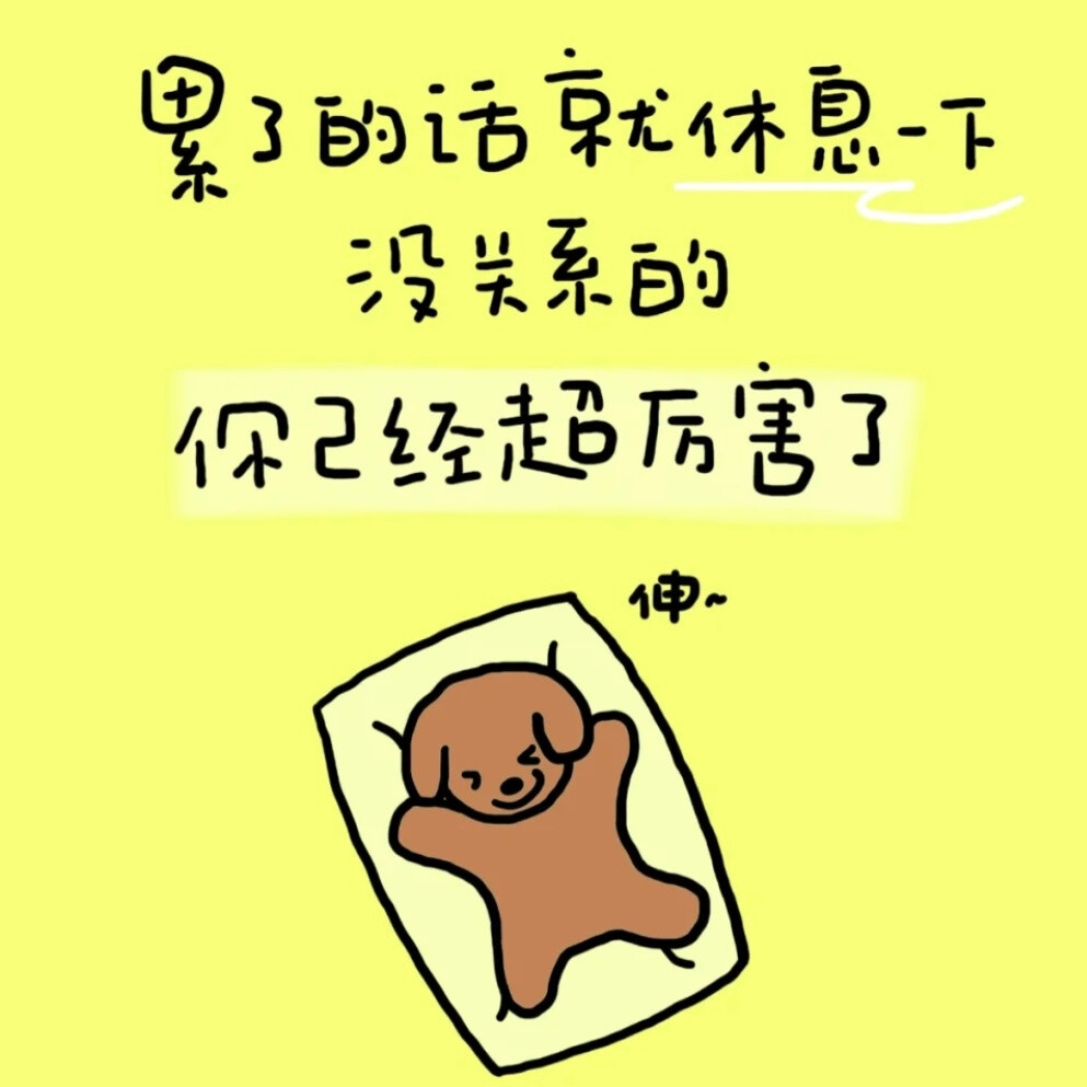 小狗文学 cr：肉肉的小狗狗