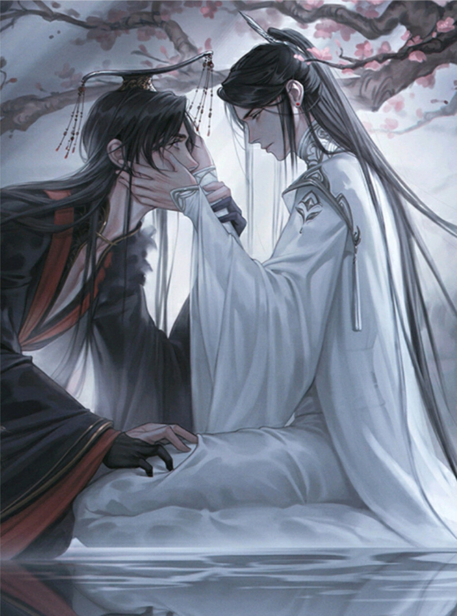 二哈和他的白猫师尊