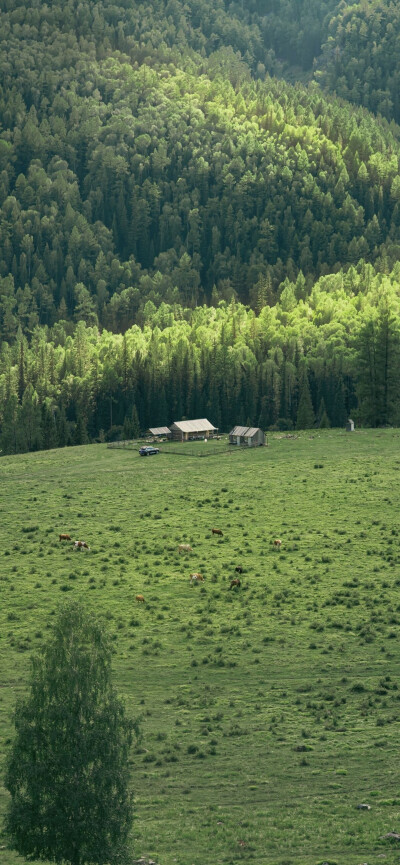 我见青山多妩媚