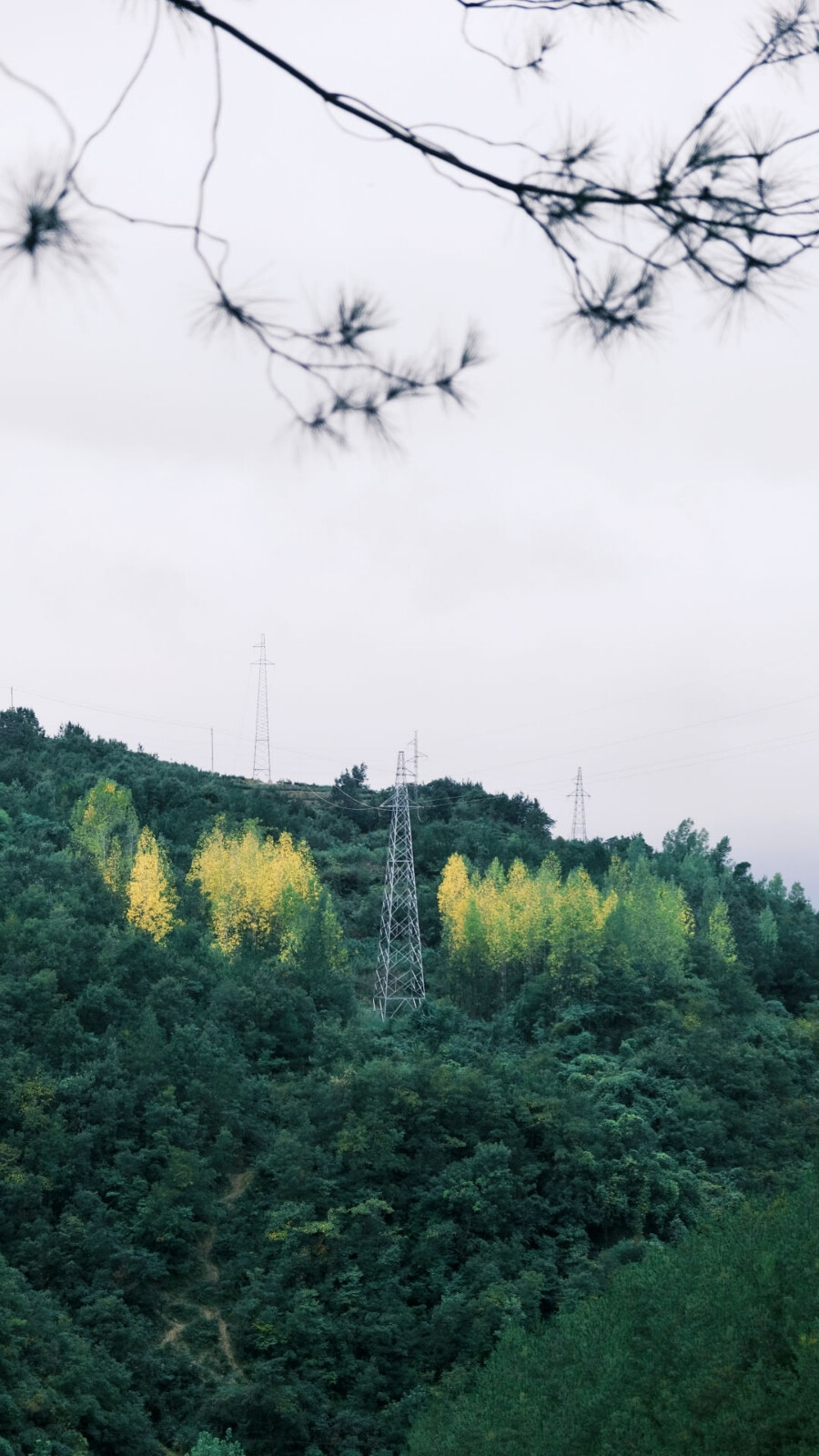 我见青山多妩媚