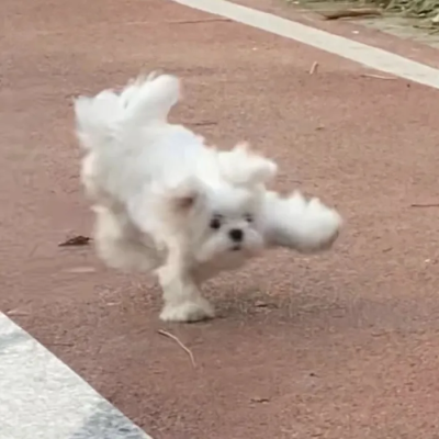 若侵权联系删掉，抱歉抱歉（/ˇ＼)