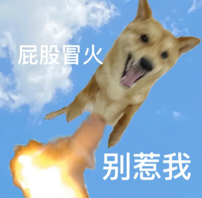 木朽儿