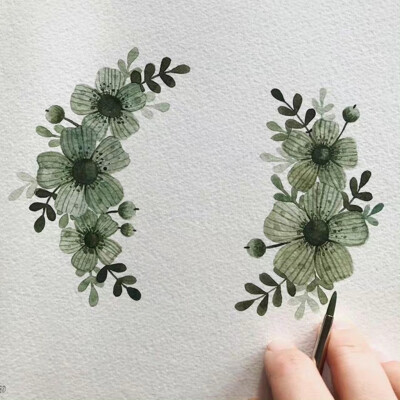 植物绘，插画师una.kritzolina