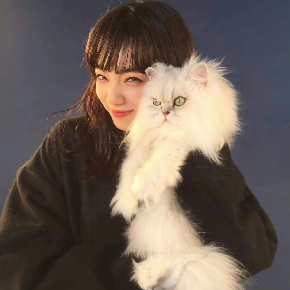 小松菜奈 头像（图源网络侵删）