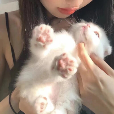 抱猫女头