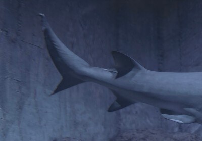 iPad壁纸#电脑壁纸
ins风壁纸