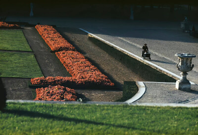 iPad壁纸#电脑壁纸
ins风壁纸