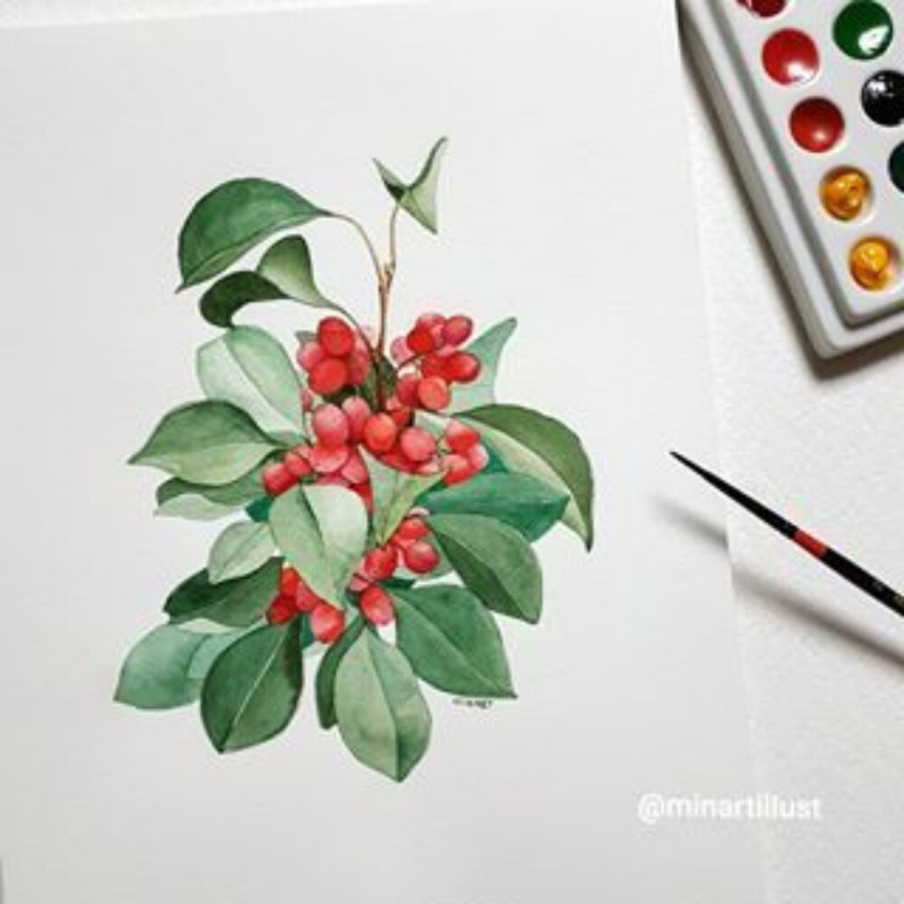 植物绘，插画师minartillust