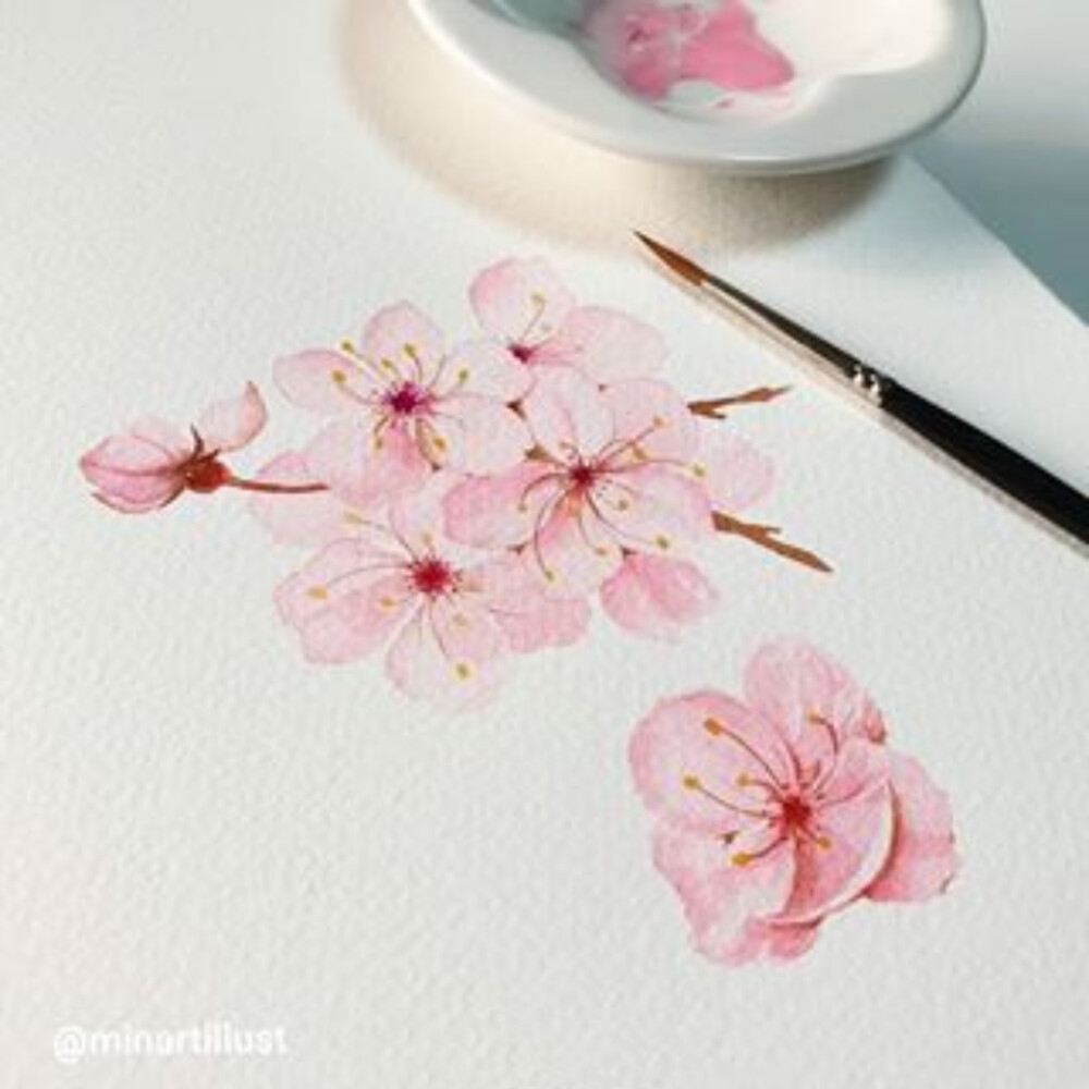 植物绘，插画师minartillust