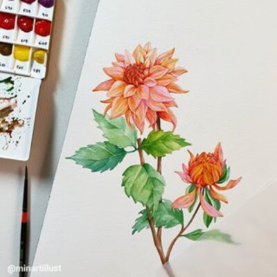 植物绘，插画师minartillust