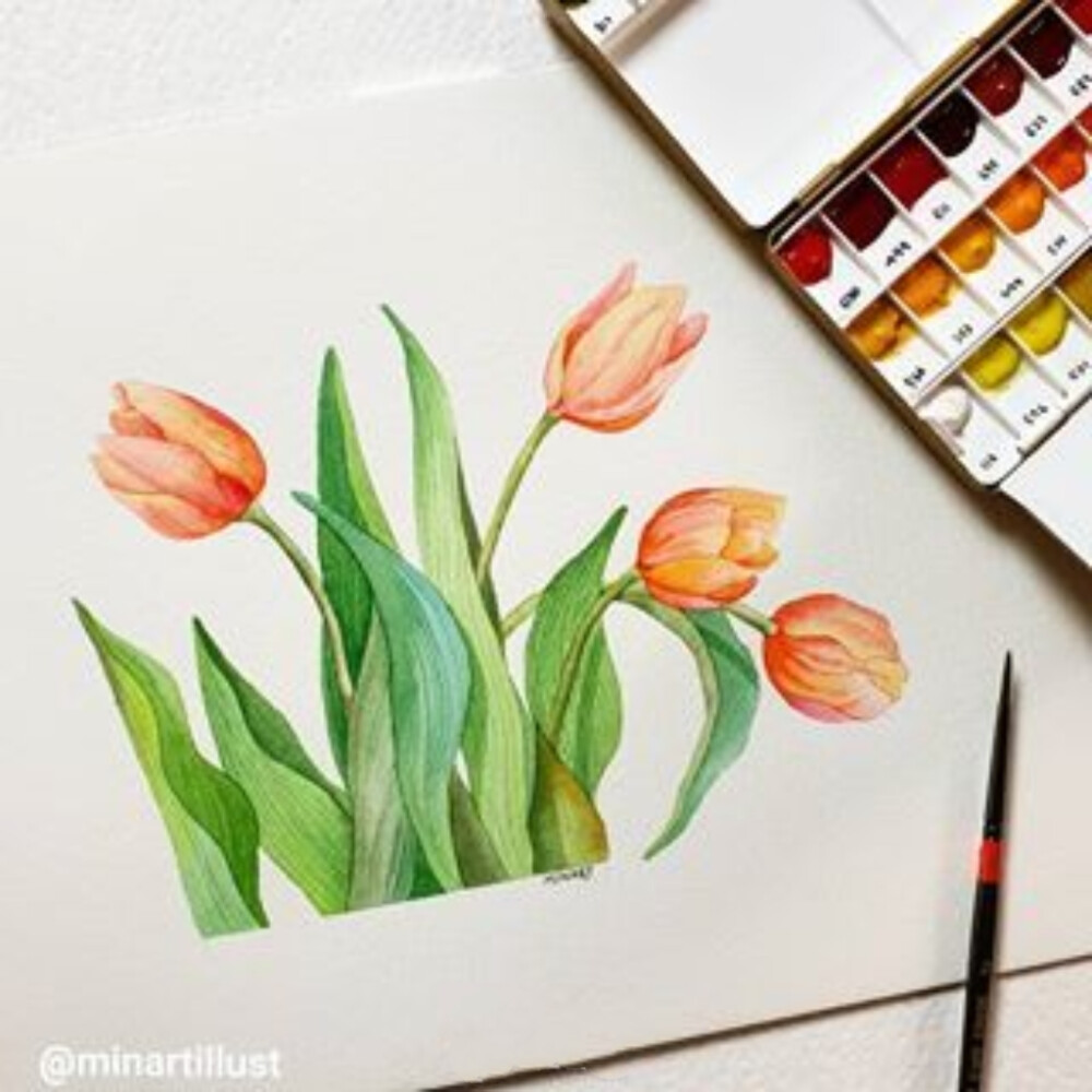 植物绘，插画师minartillust