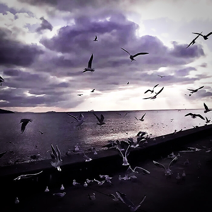 裴珠泫/“我无法与你，各走各的路”
©季轶