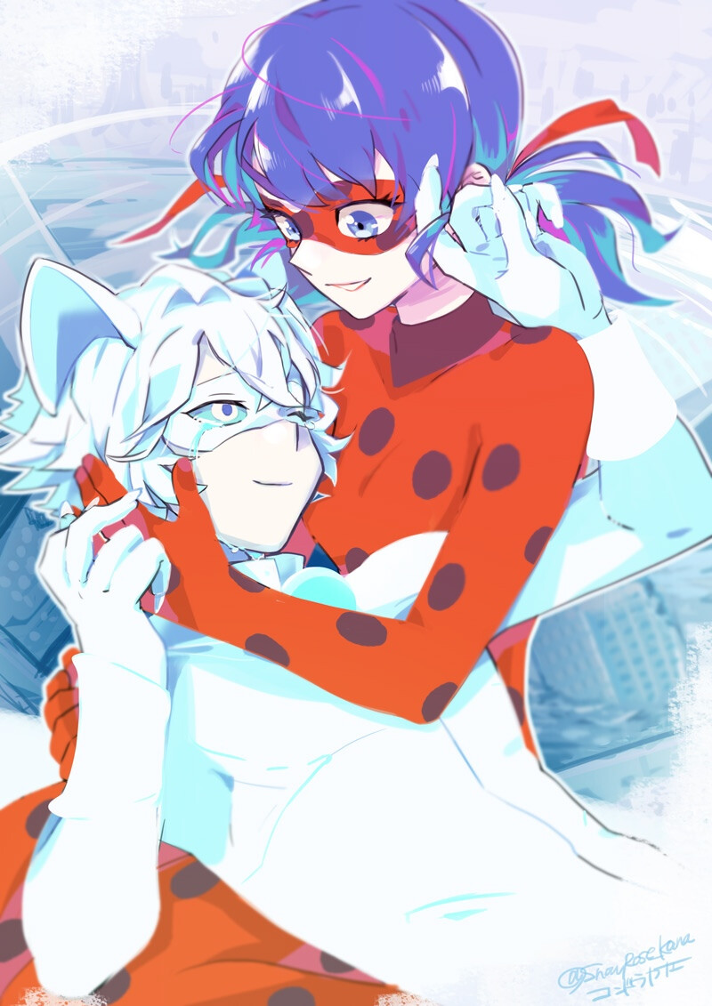 瓢虫雷迪 Ladybug​