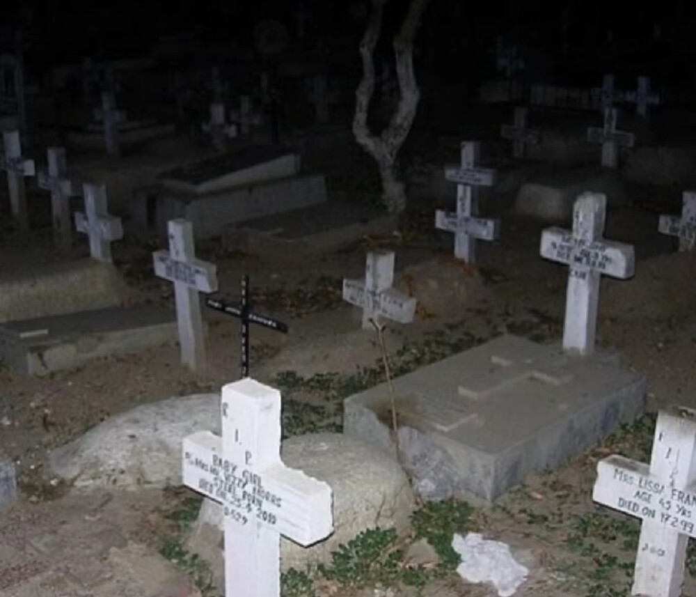 风格头像
出处不详侵权删