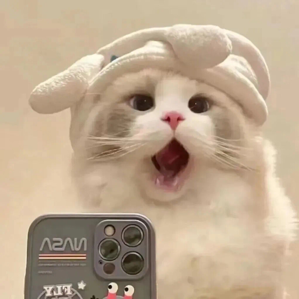动物情头