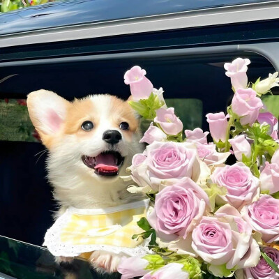 春暖花开时 第三版