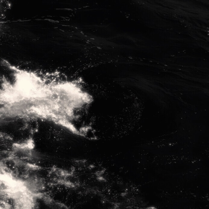 齐欢 、我们有家了