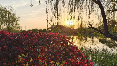 吉安随拍：夕阳美景