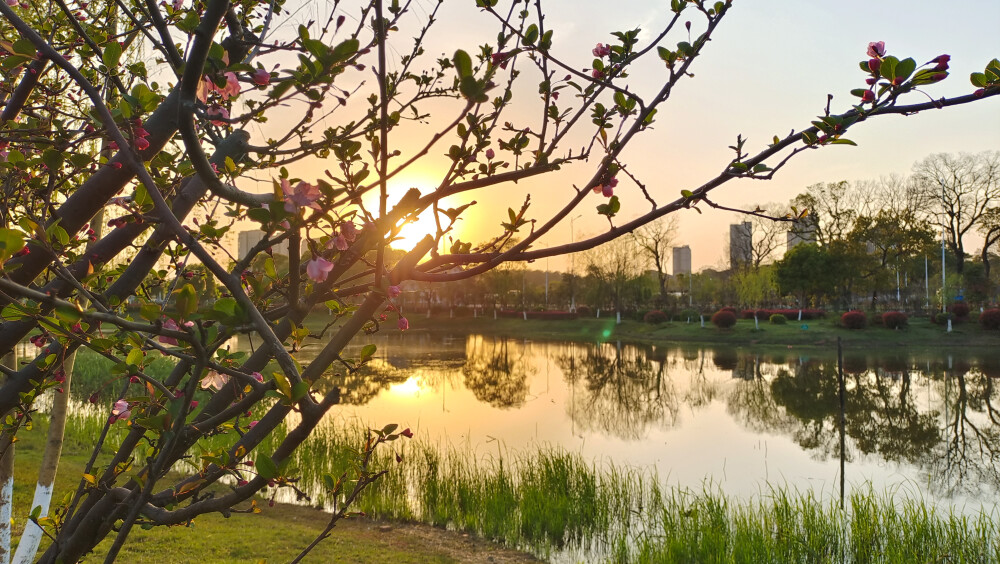 吉安随拍：夕阳美景