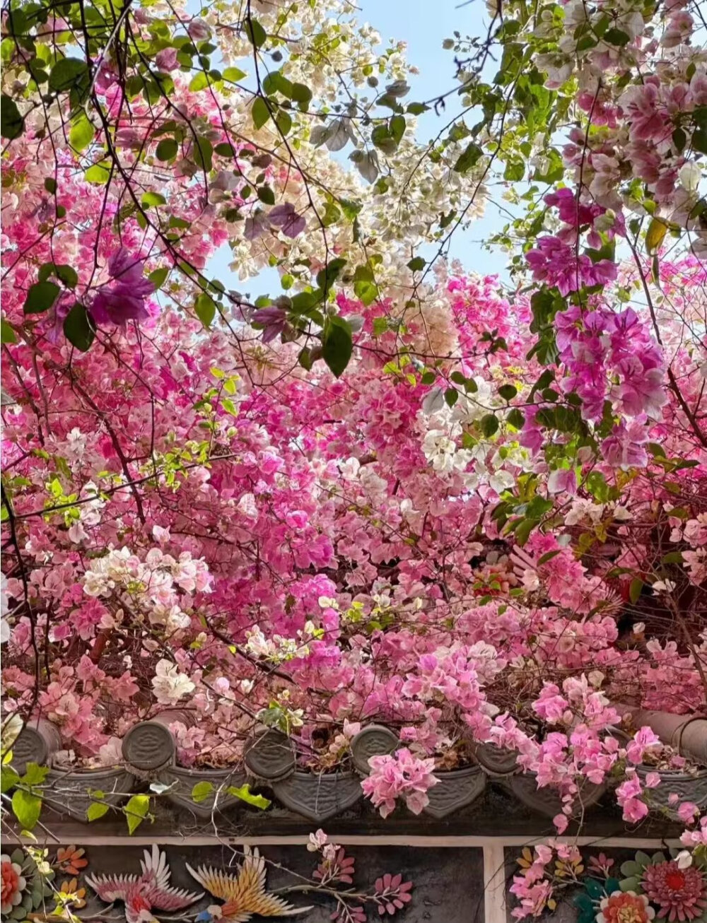 花树