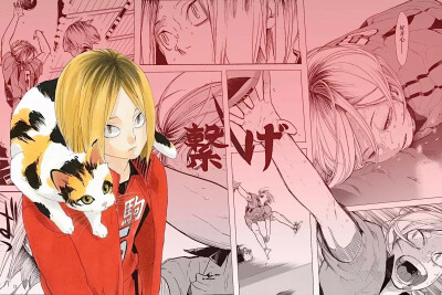 小排球壁纸
微博：-迷路再迷路-