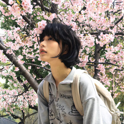 一日看尽长安花